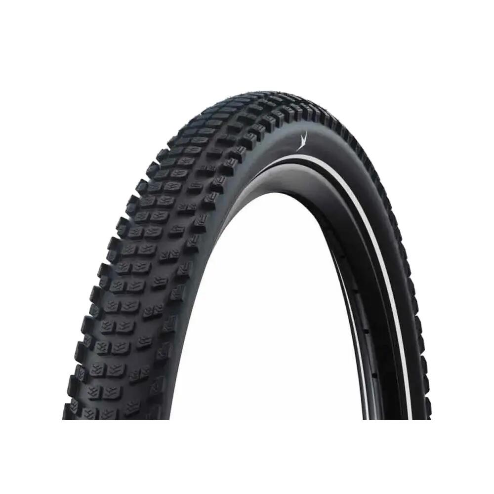 SCHWALBE picture