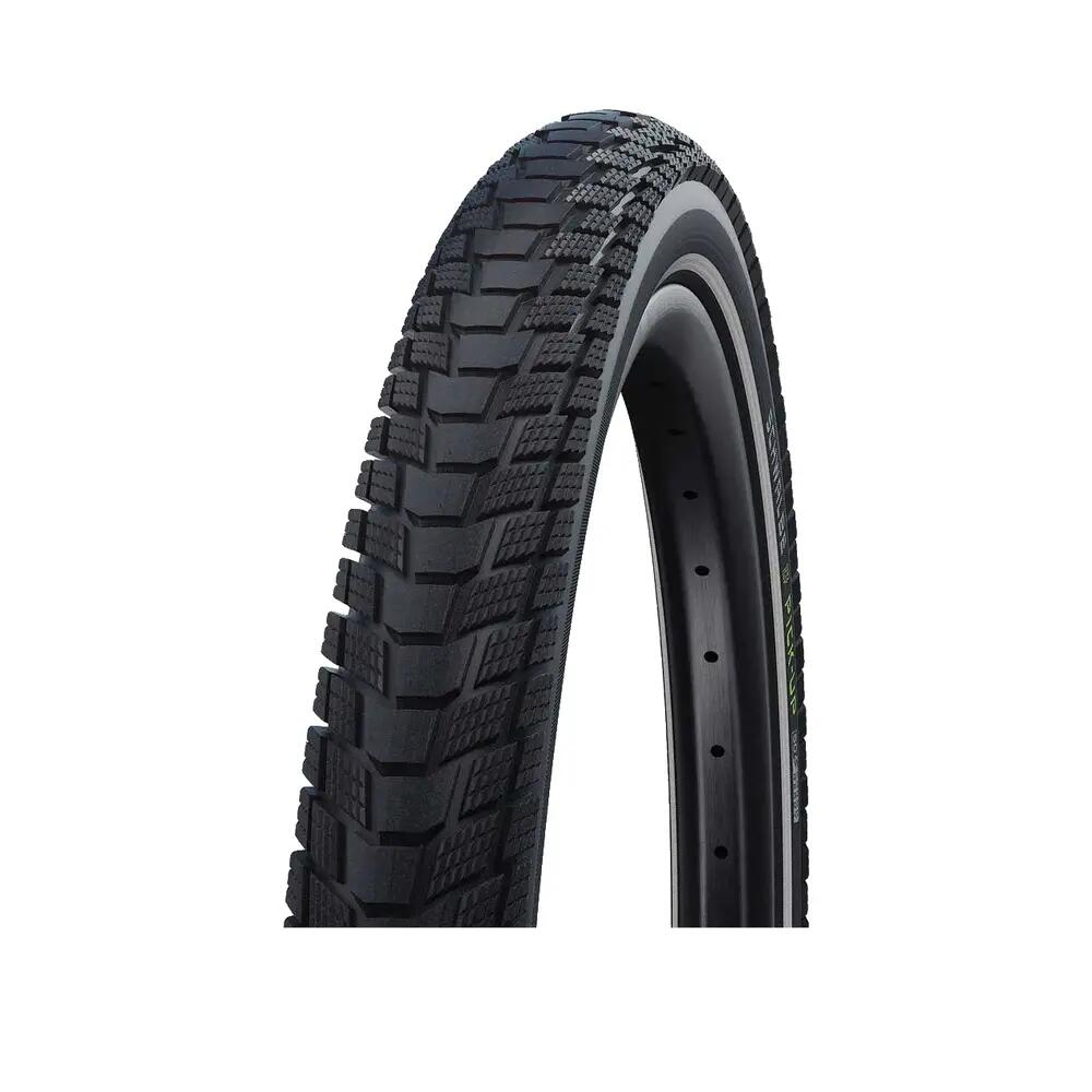 SCHWALBE picture