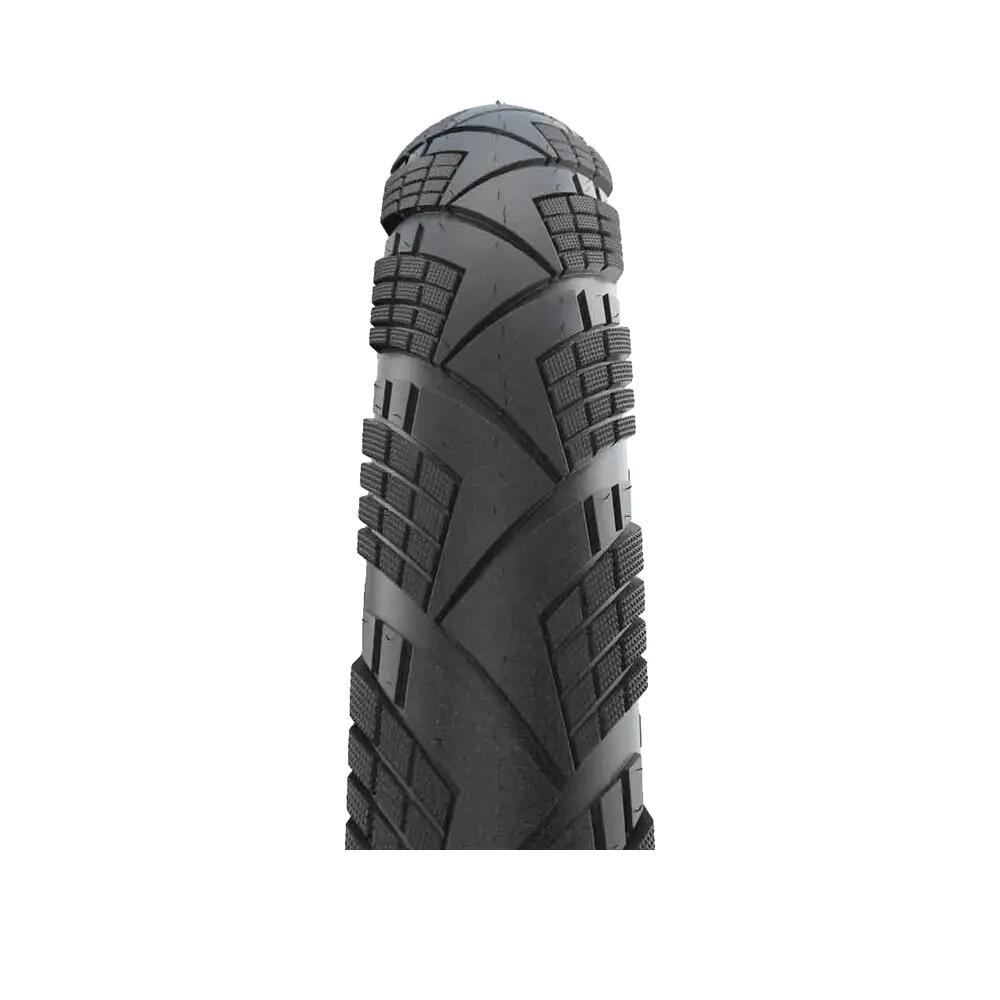 SCHWALBE picture
