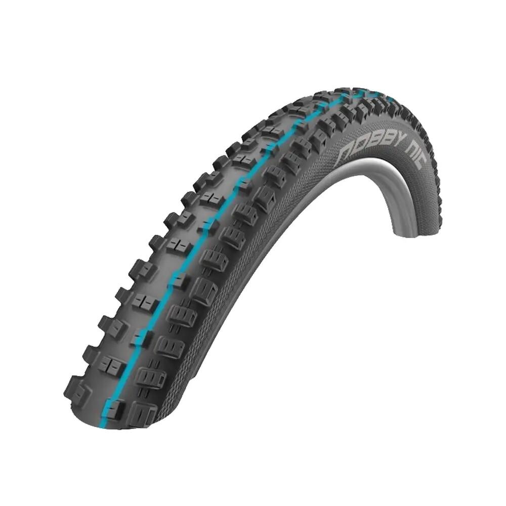 SCHWALBE picture
