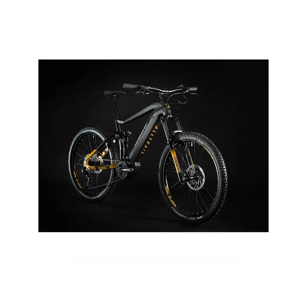 Mountainbike Haibike alltrail 6 Kleur zilver 2/9