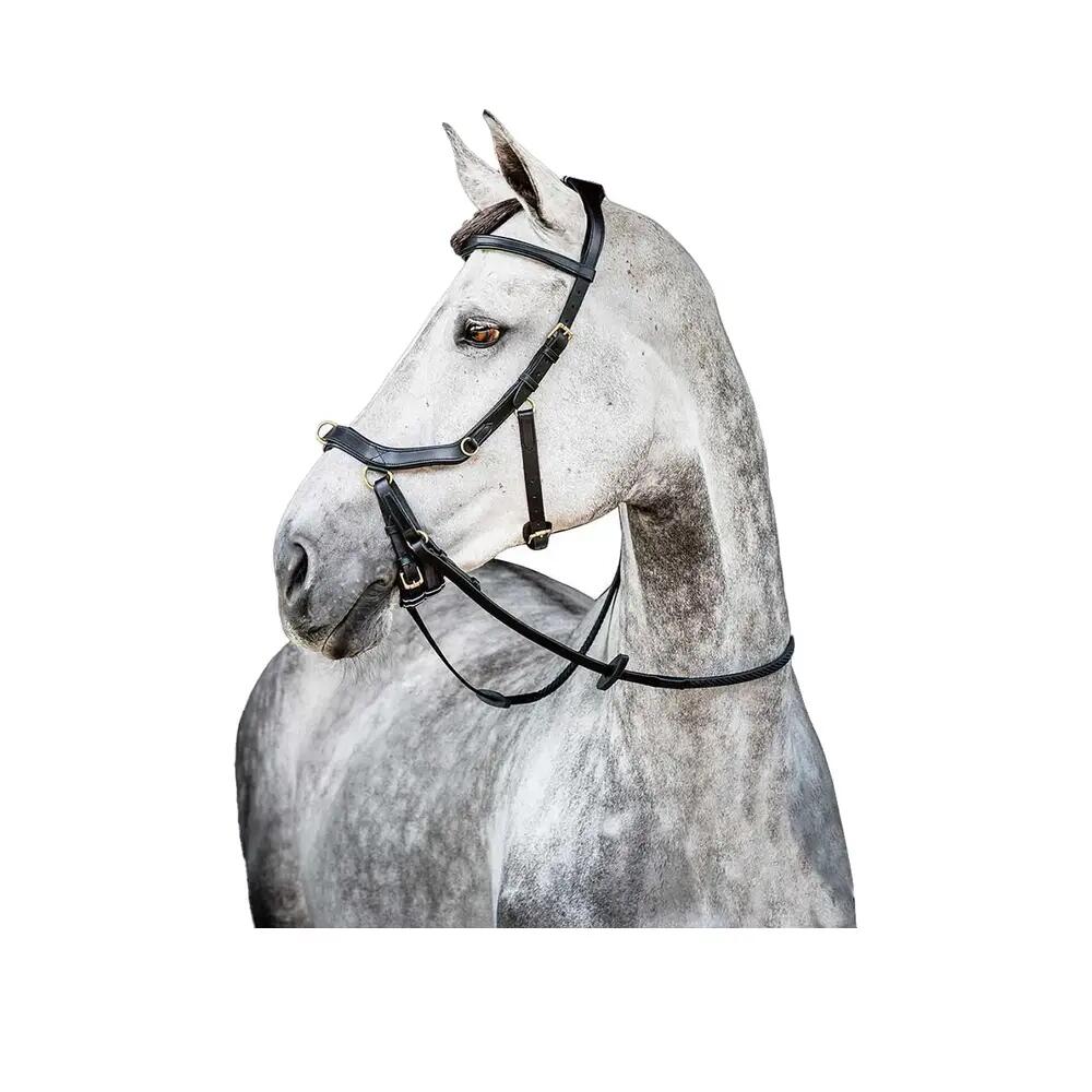 HORSEWARE IRELAND picture