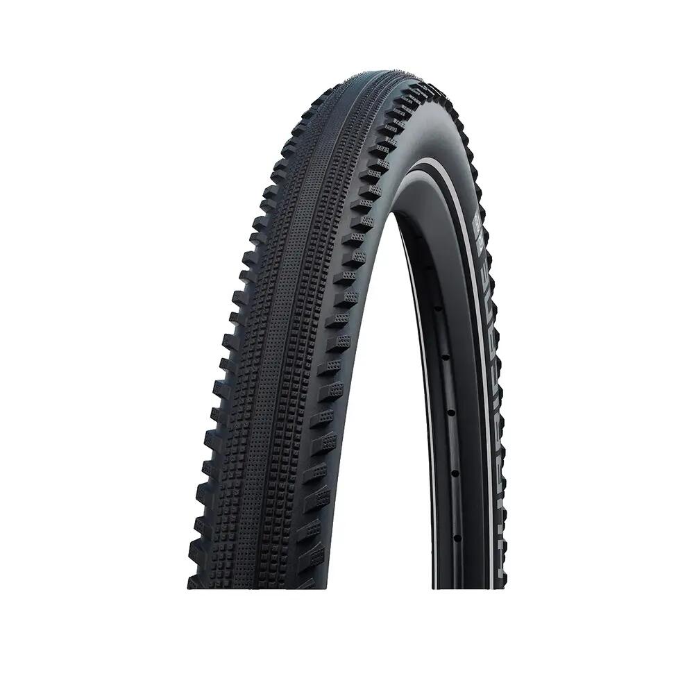 SCHWALBE picture