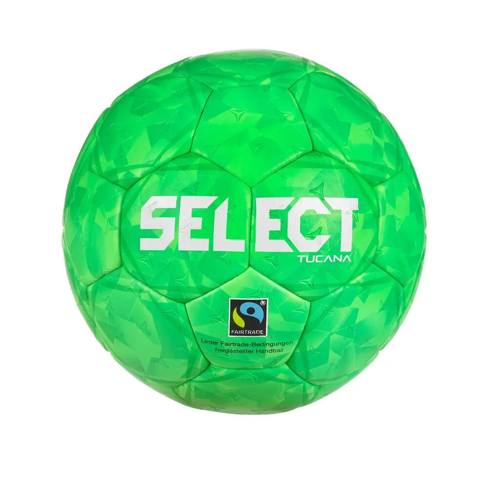 SELECT picture