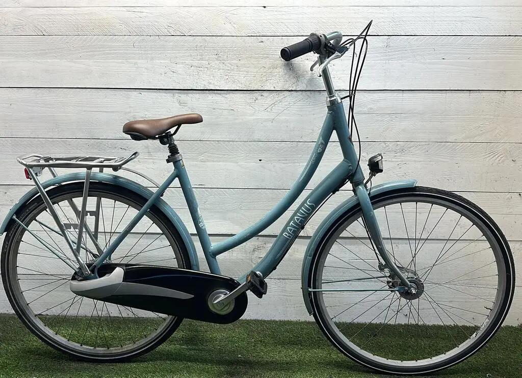 BATAVUS picture