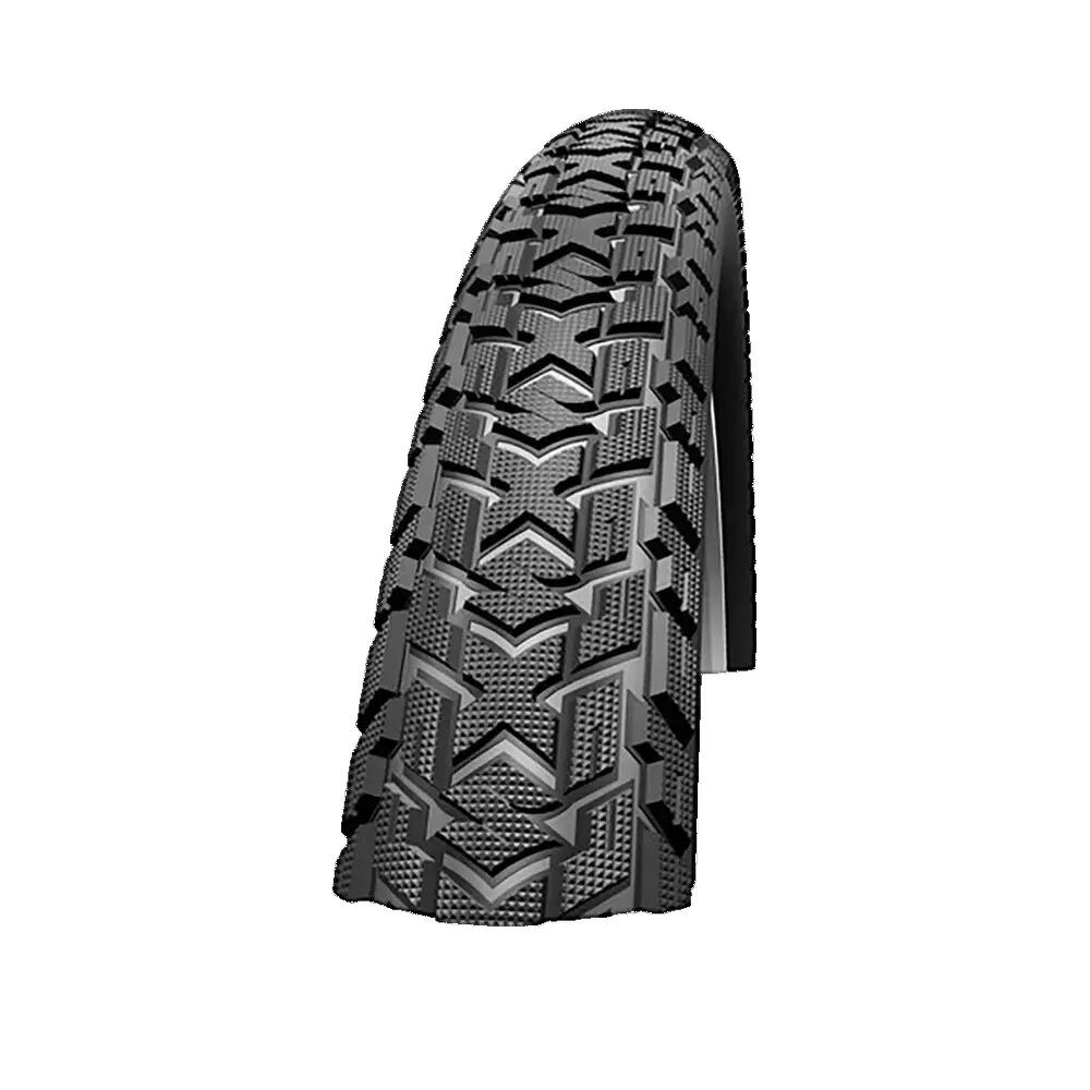 SCHWALBE picture