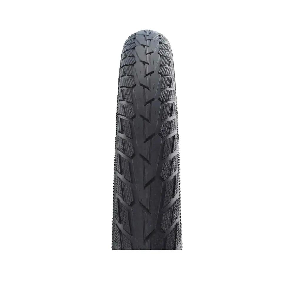 SCHWALBE picture