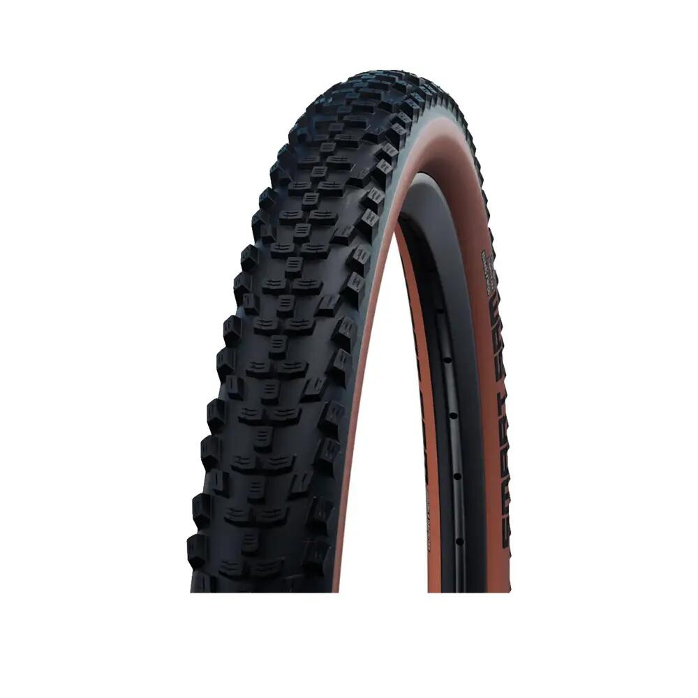 SCHWALBE picture