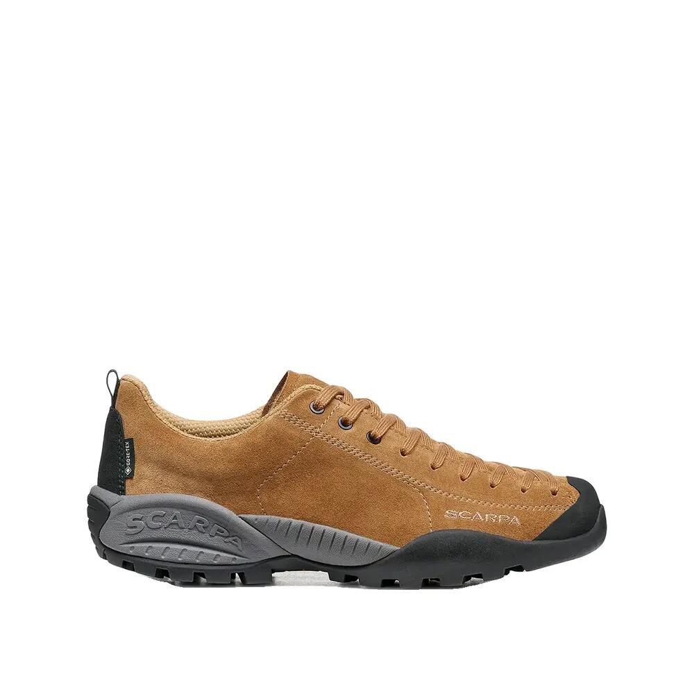 SCARPA picture