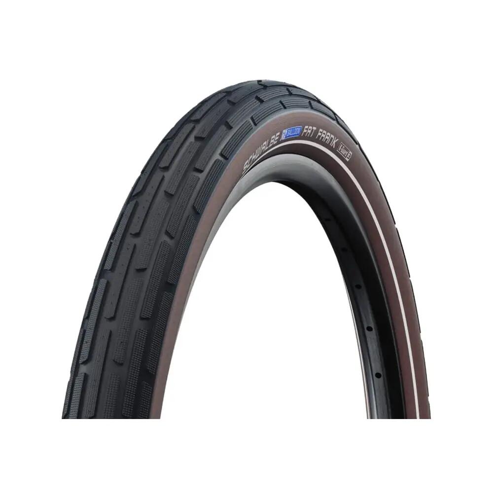 SCHWALBE picture