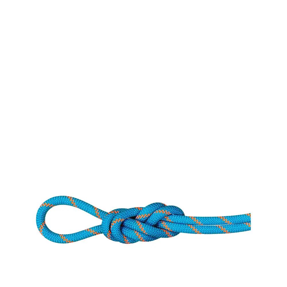 MAMMUT picture