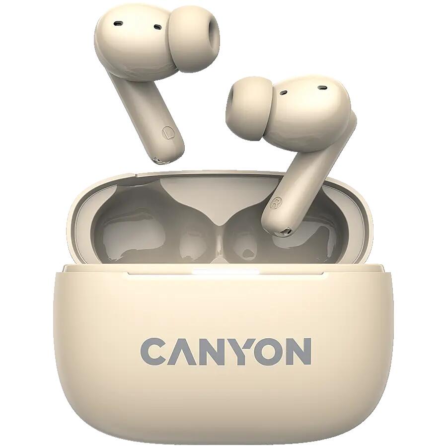 CANYON picture