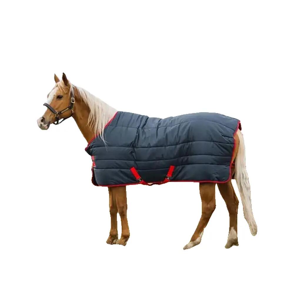 HORSEWARE IRELAND picture