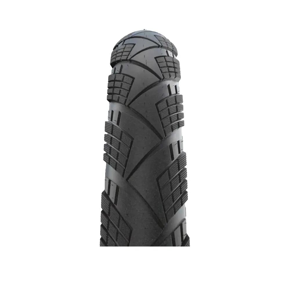 SCHWALBE picture