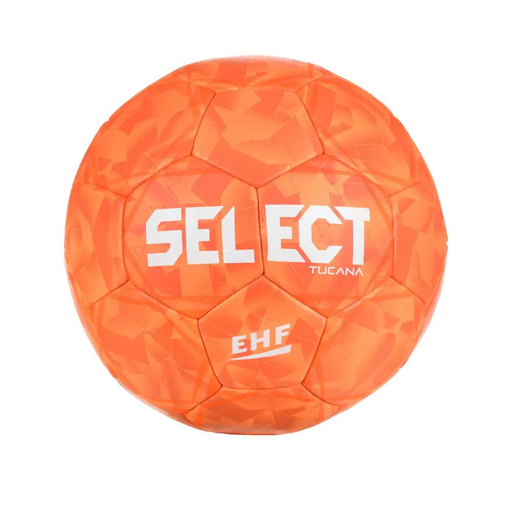 SELECT picture