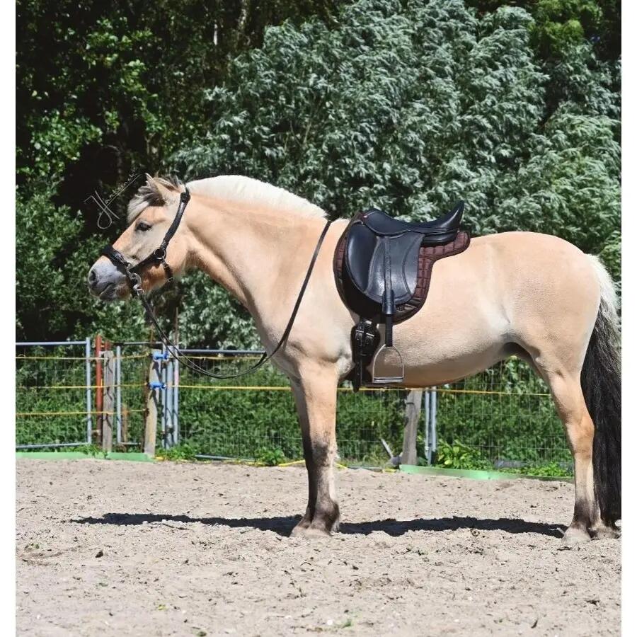 EDIX SADDLES picture