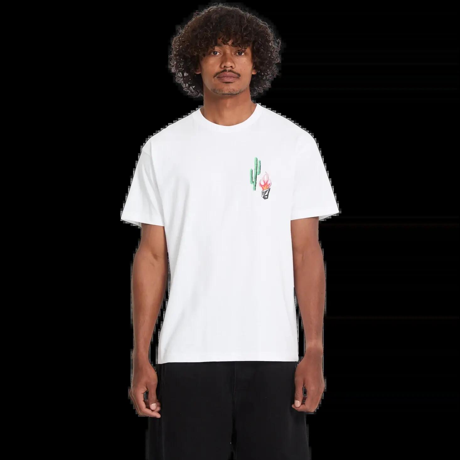 VOLCOM picture