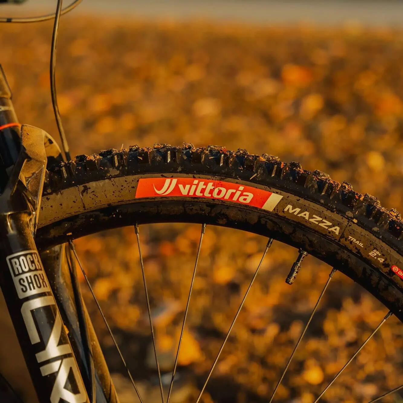 Vittoria Mazza Trail 29'' MTB-Reifen Tubeless Ready Faltbar Pannenschutzgürtel G 3/5