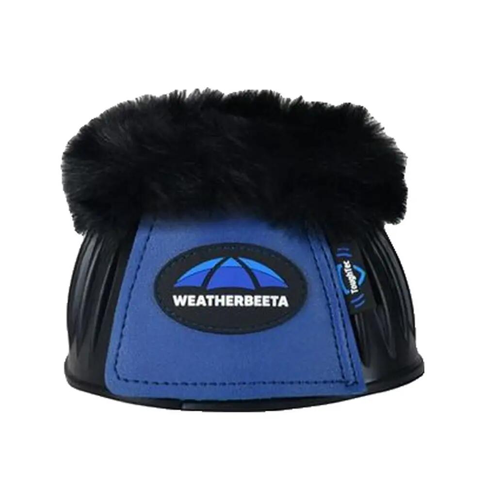 WEATHERBEETA picture