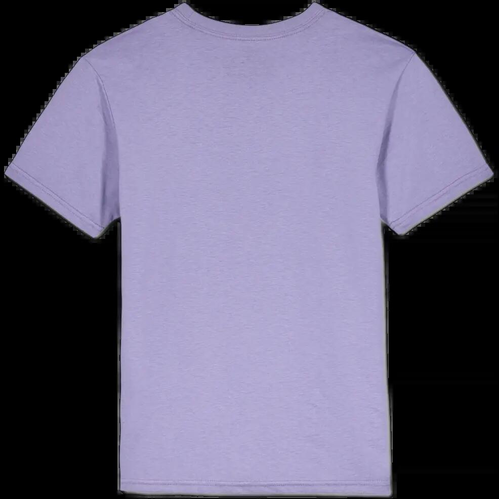 Camiseta Volcom Spikesnight Púrpura Ceniza 2/2