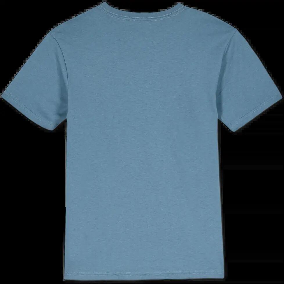 VOLCOM picture