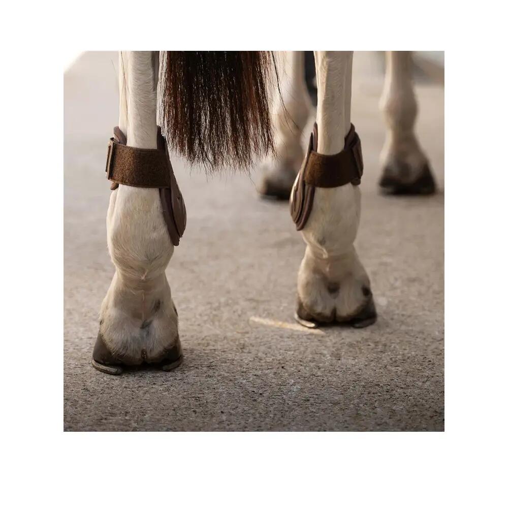 Ochraniacze na zęby dla kucyków Kentucky Horsewear Pro 8/9