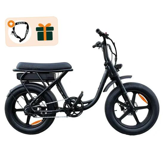 S6 Go - Fatbike électrique - 20 pouces - 250W - batterie 650Wh - Noir