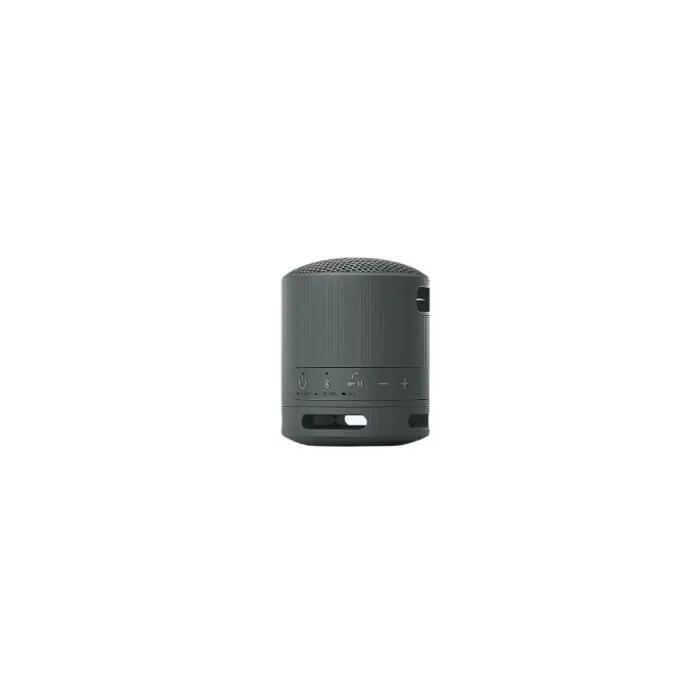 Bluetooth Speakers Sony SRSXB100B Black 3/7