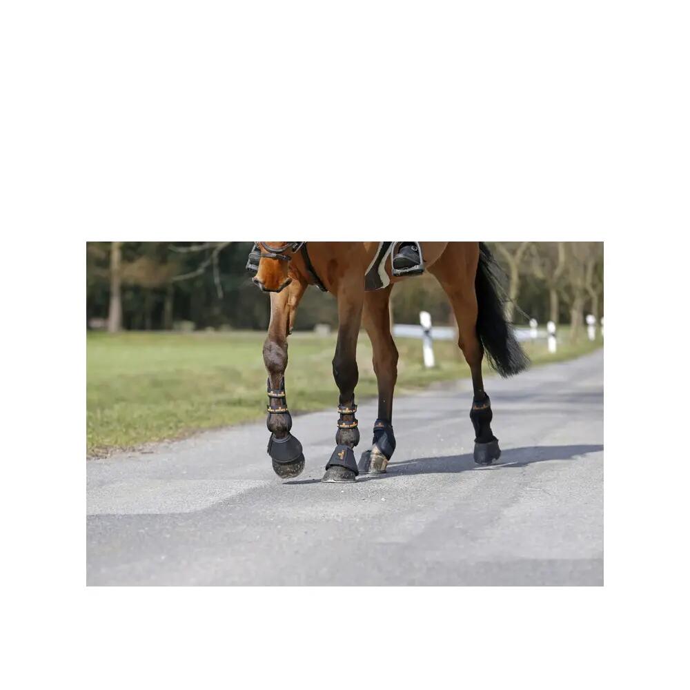 Cloches pour cheval similicuir Kentucky 6/6
