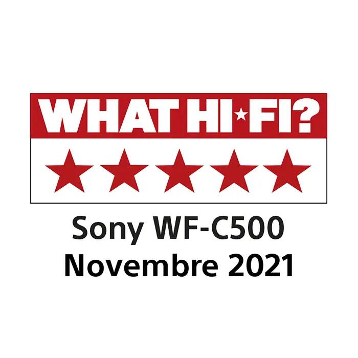 Ecouteurs sans fil WFC52W Blanc SONY 4/7