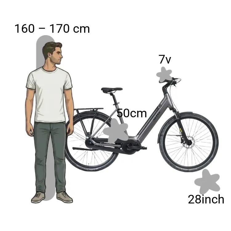 Bicicletta usata Altec Voltix E-Bike Taupe Brown 2/3