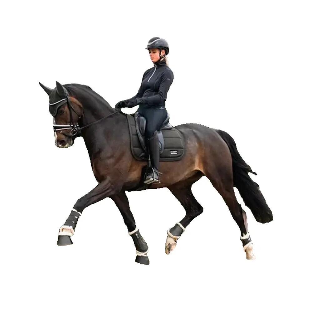 Flettenti di cavallo ANKY 5/5
