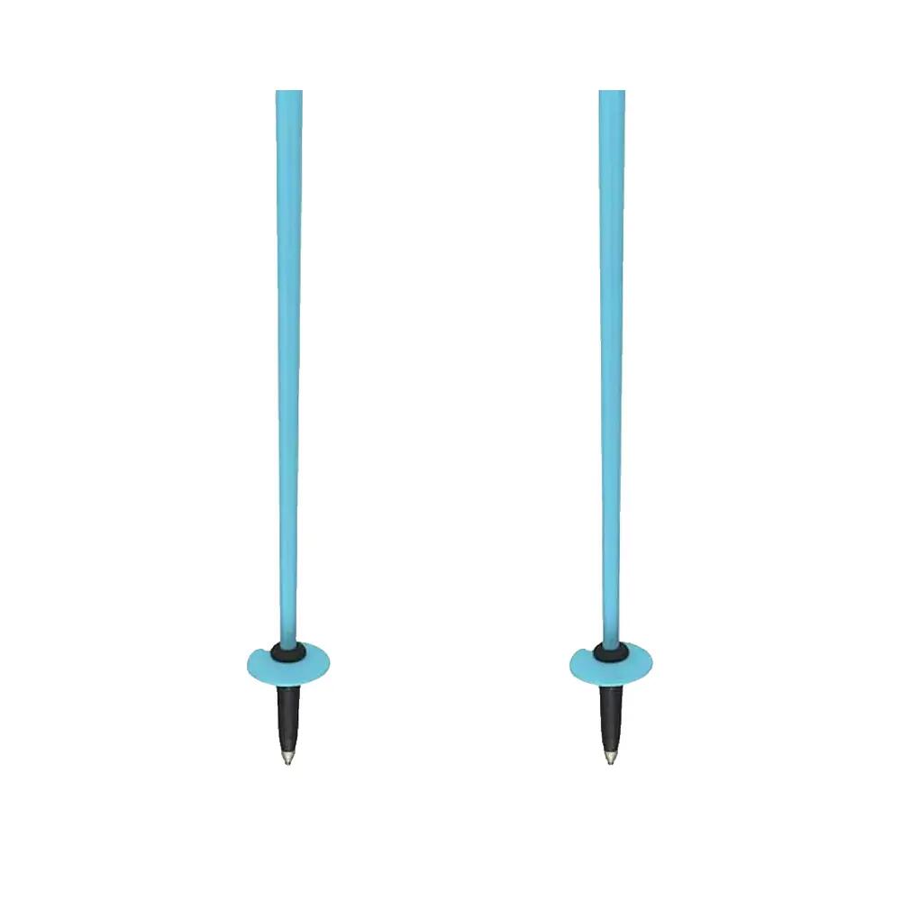 Bâton de sci Head Worldcup SL Blu 4/5