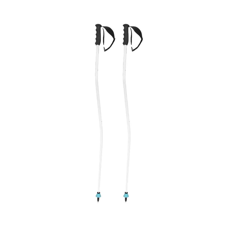 Head Worldcup SG Ski Poles 2/5