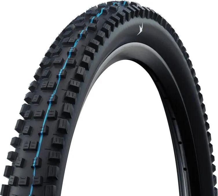 SCHWALBE picture