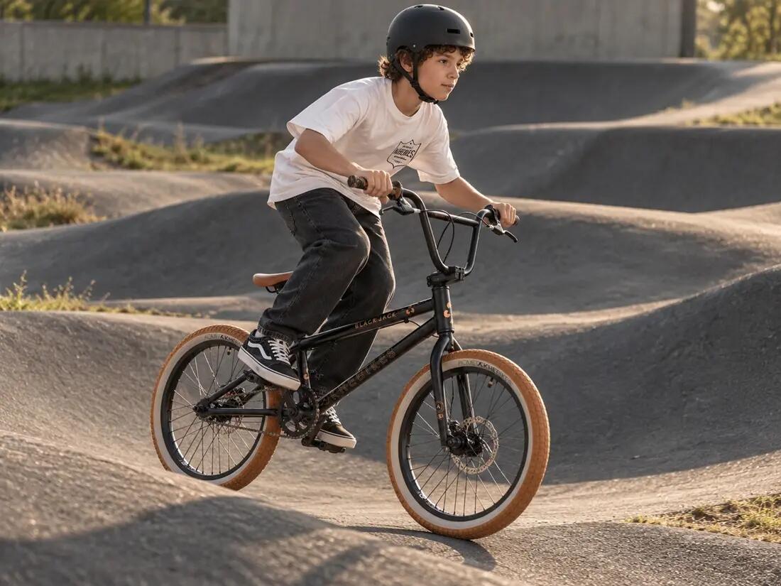 Vélo BMX alu BLACK JACK DISC AL noir 20 pouces 10 kg 3/15