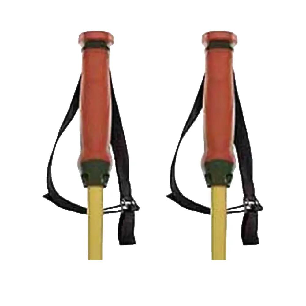 Völkl Phantastick Ski Poles 16mm Green 5/5