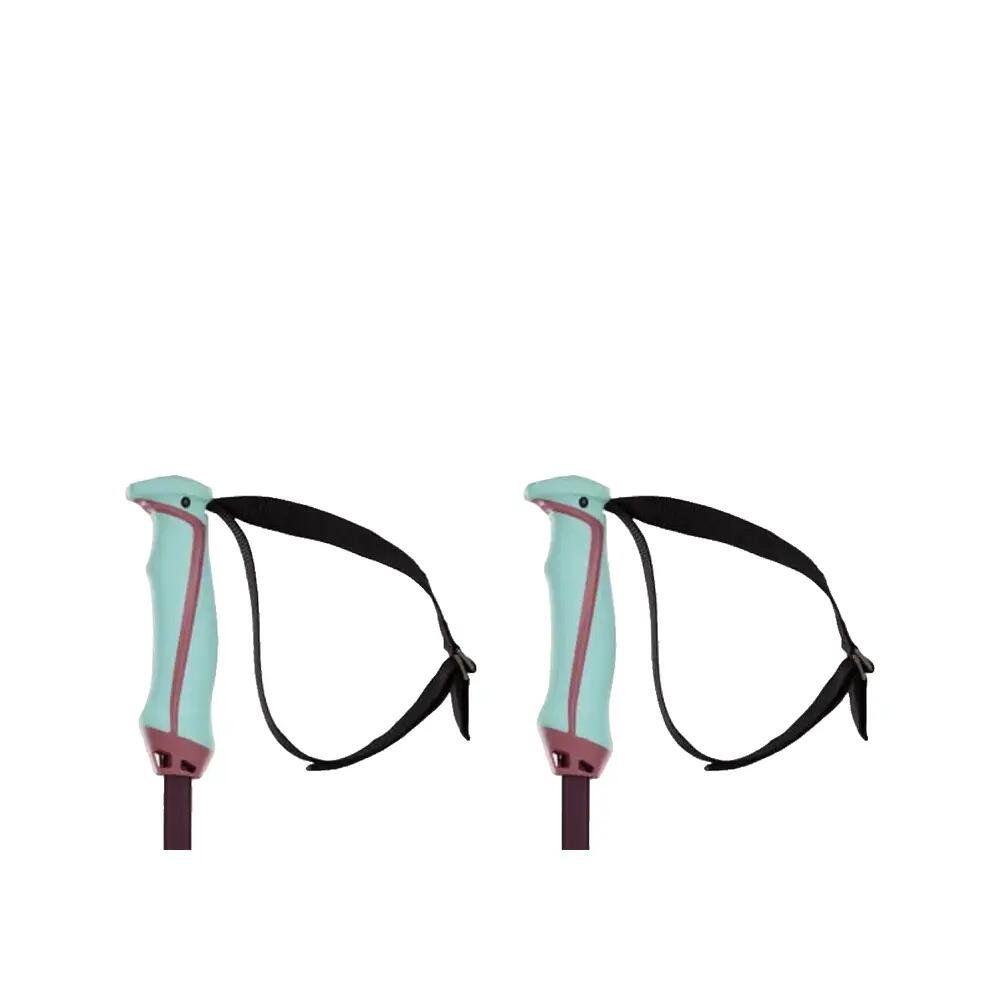 Bâtons de ski Völkl Phantastick Vermelho 5/6