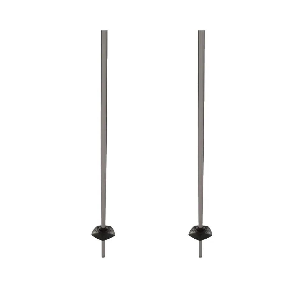 Bâtons de ski Völkl Phantastick Rouge 4/5