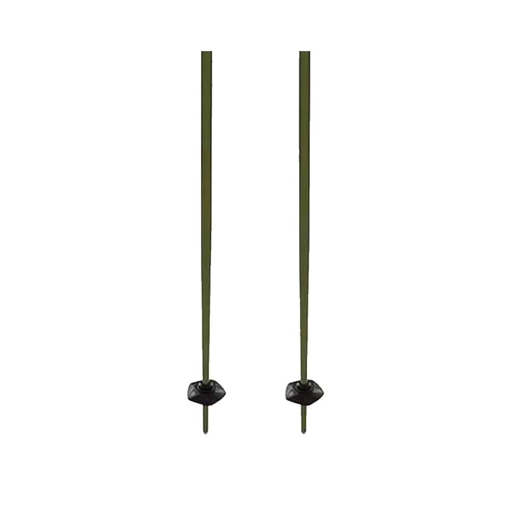 Völkl Phantastick Ski Poles 16mm Green 4/5