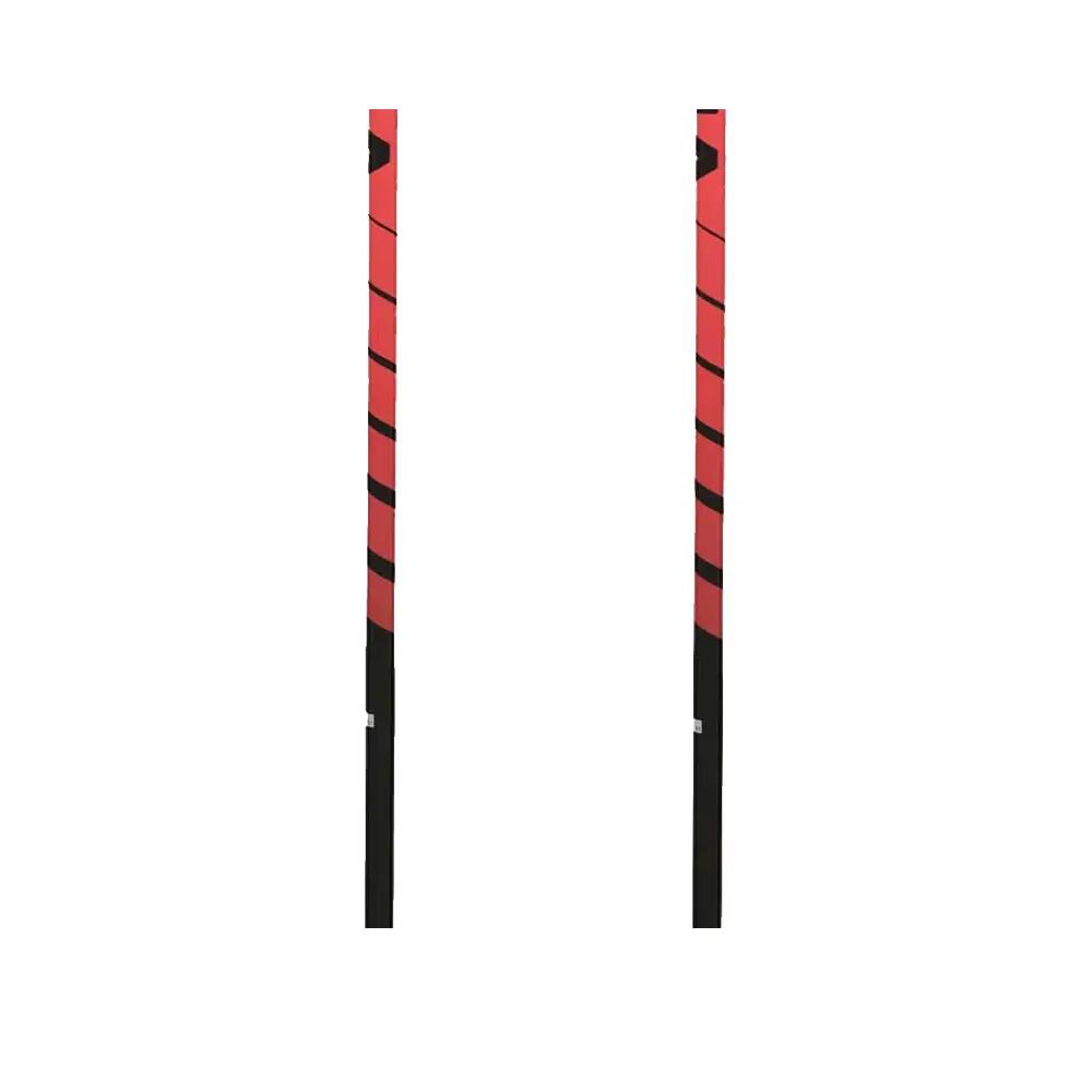 Bâtons de ski Völkl Speedstick 3/5