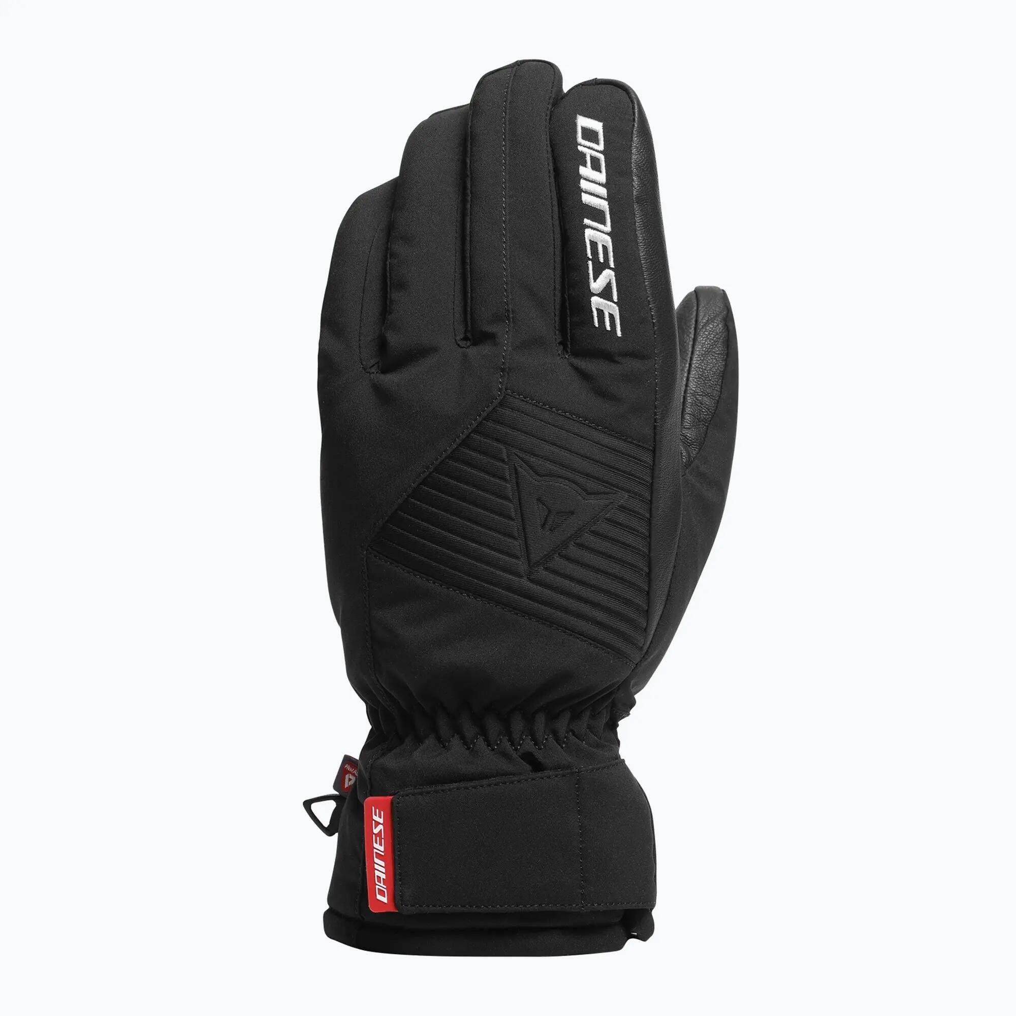 DAINESE picture