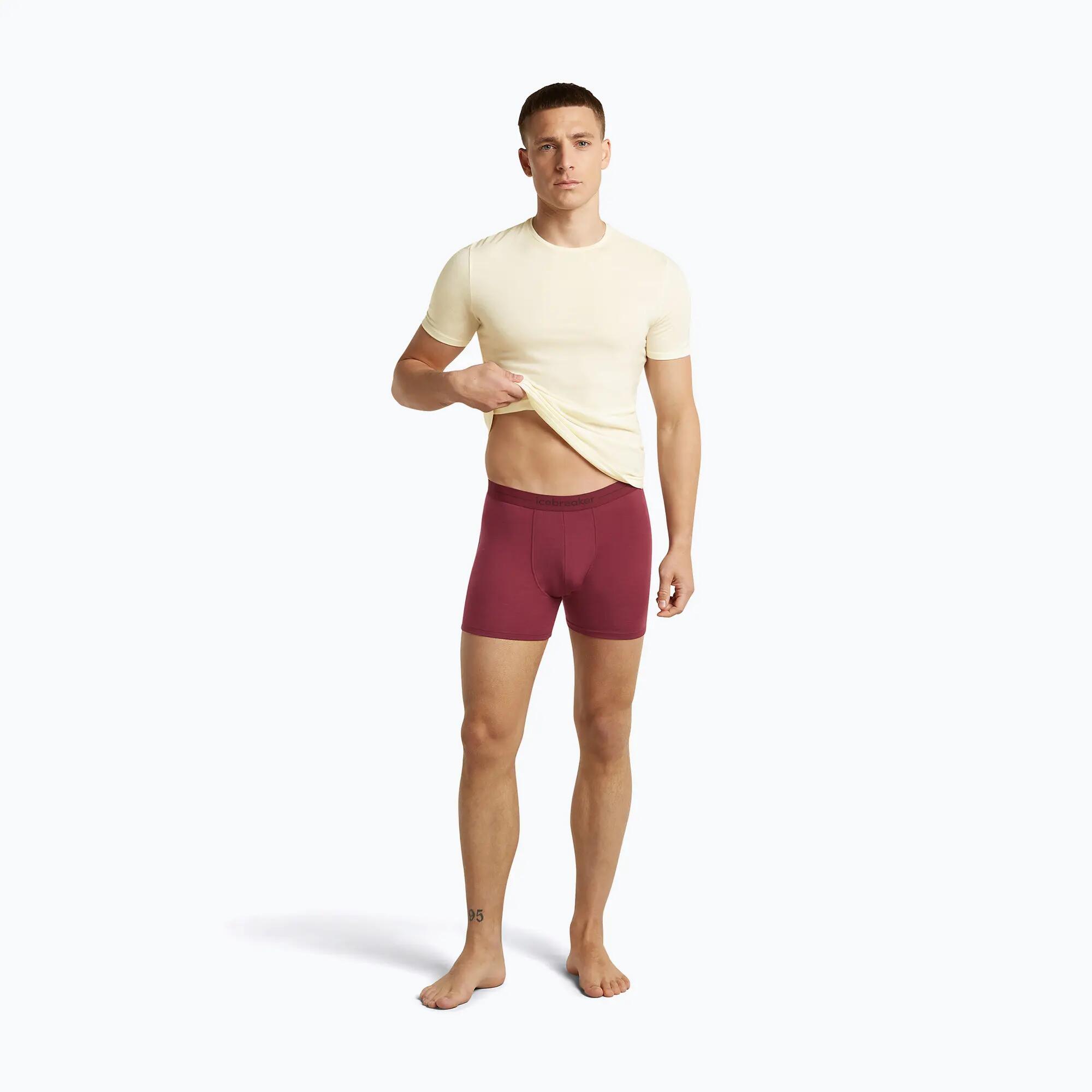 icebreaker Anatomica Boxers férfi termoaktív boxeralsó 5/7