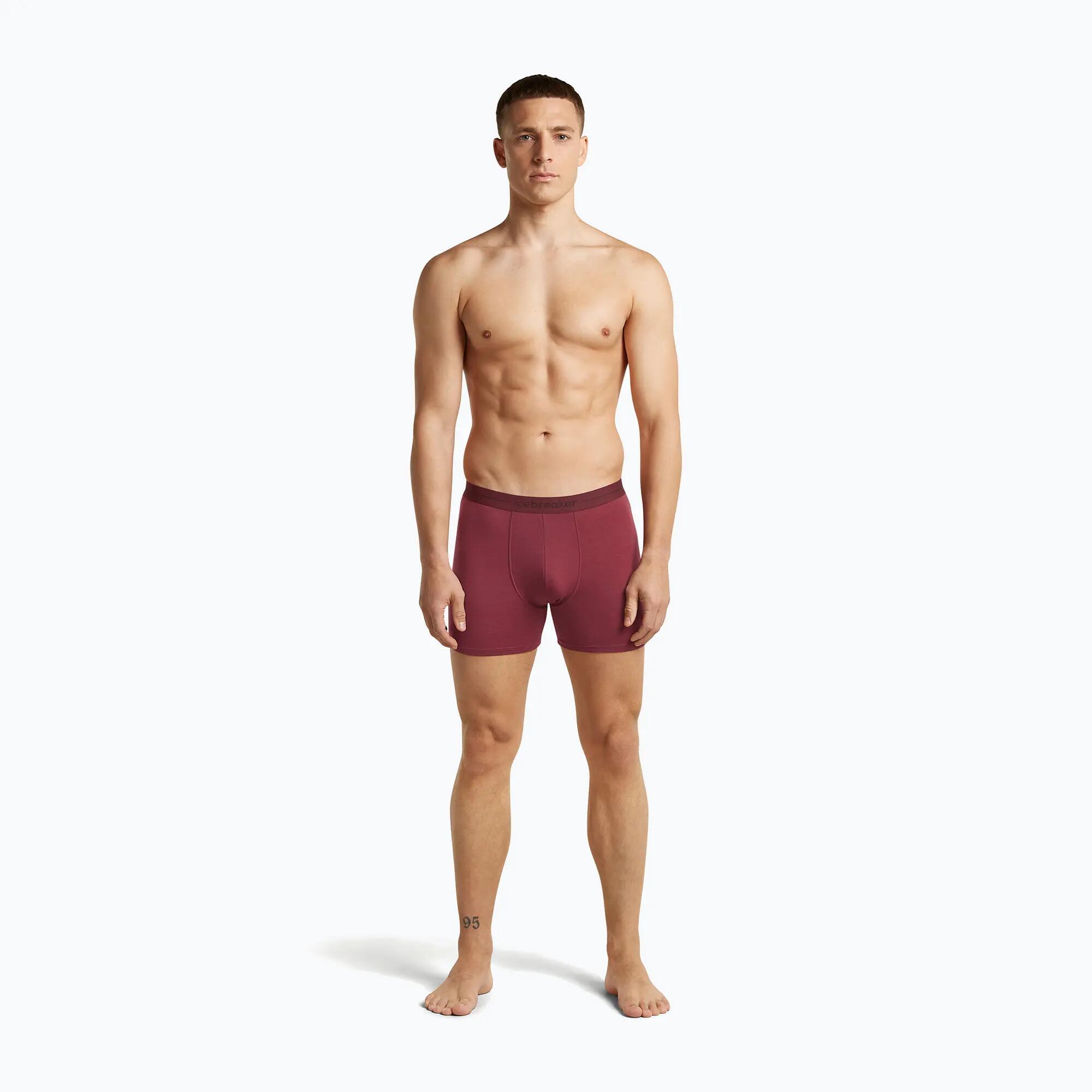 icebreaker Anatomica Boxers férfi termoaktív boxeralsó 3/7