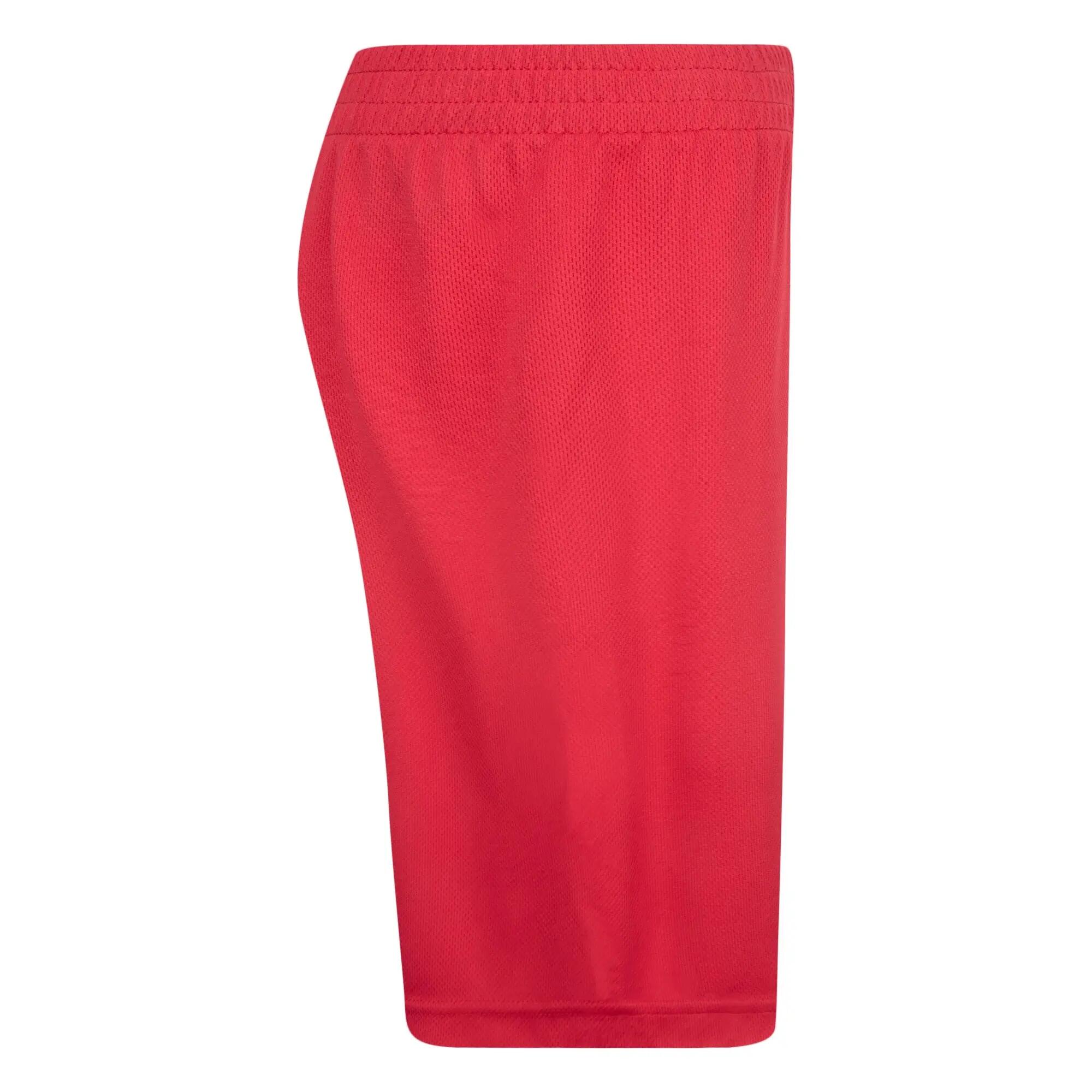 Pantaloni Scurți Jordan Jordan Vert Mesh Short Copii 4/5