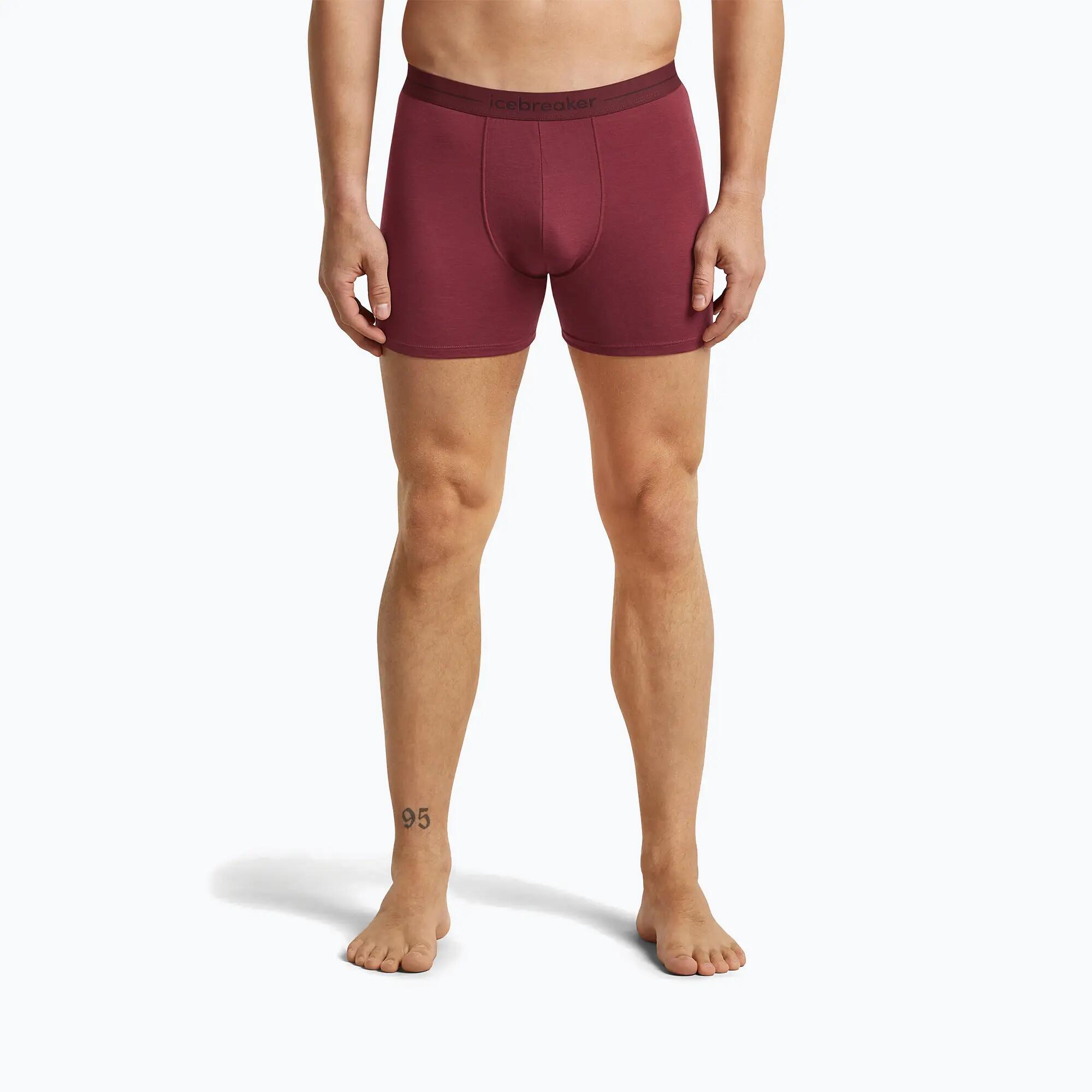 icebreaker Anatomica Boxers férfi termoaktív boxeralsó 2/7