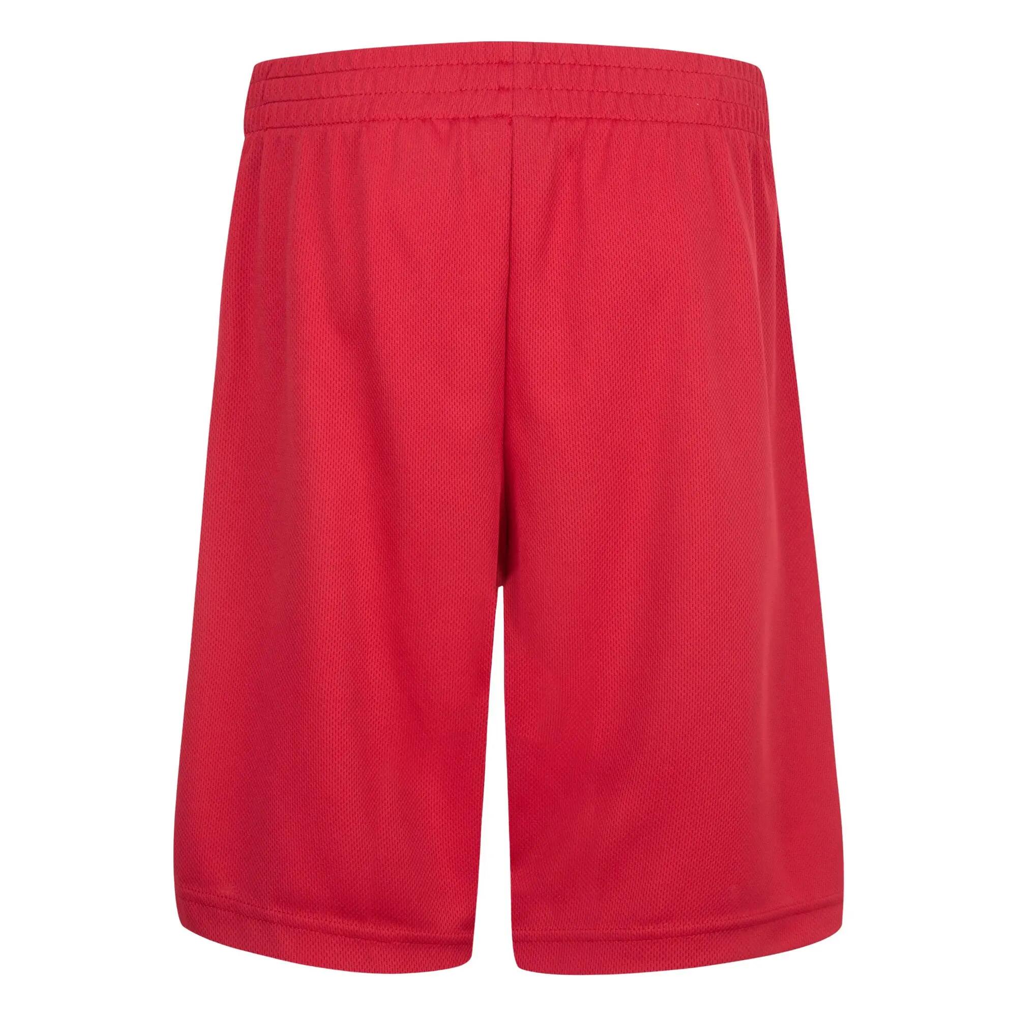 Pantaloni Scurți Jordan Jordan Vert Mesh Short Copii 3/5