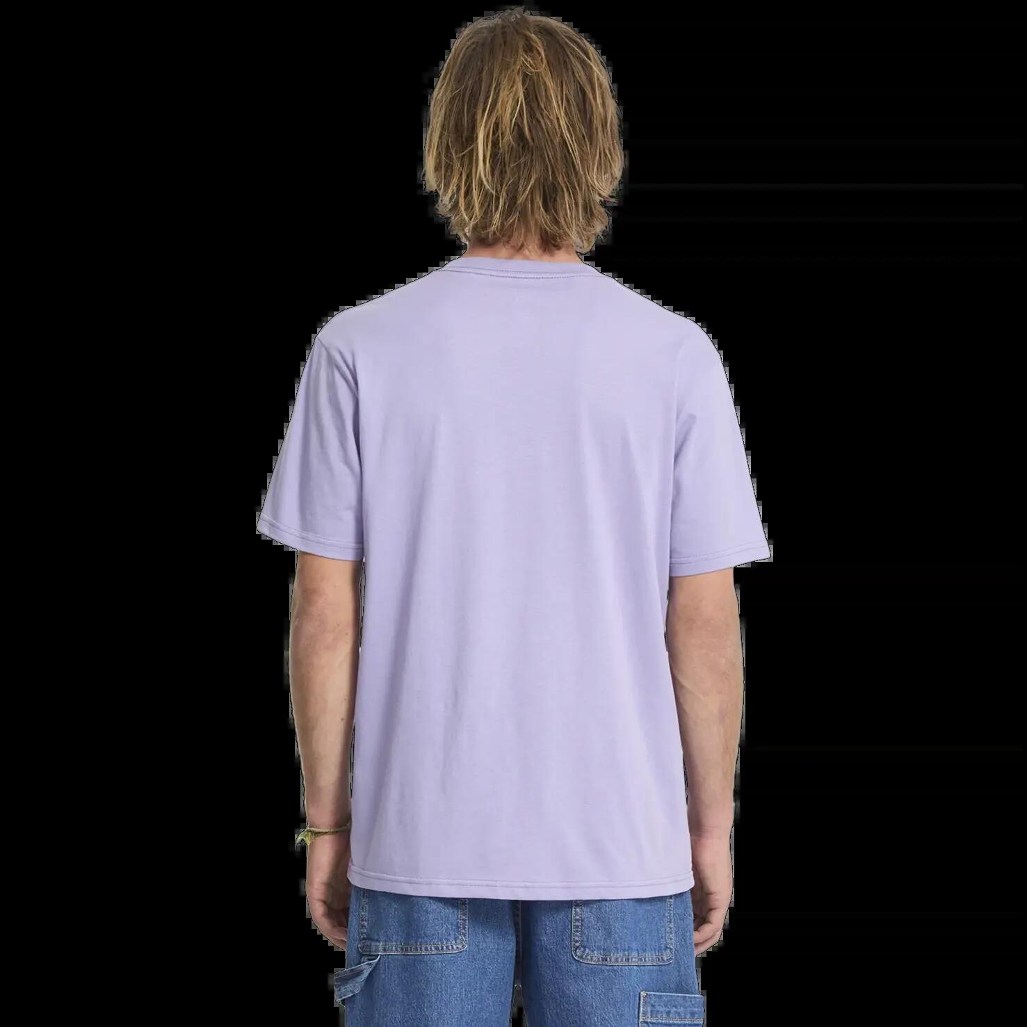 T-shirt Volcom Stone Blanks Pourpre Cendre 2/7