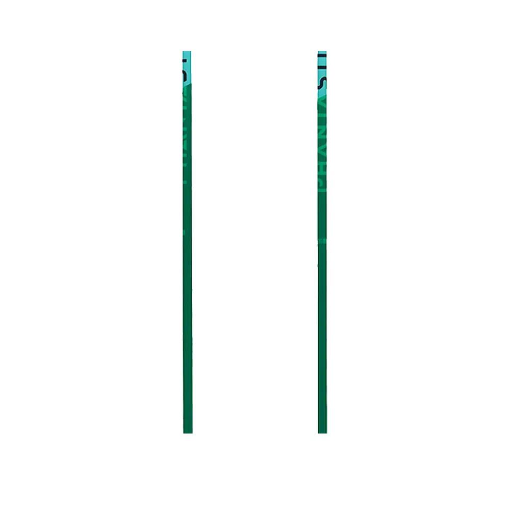 Skistokken Völkl Phantastick Junior Groen 3/5