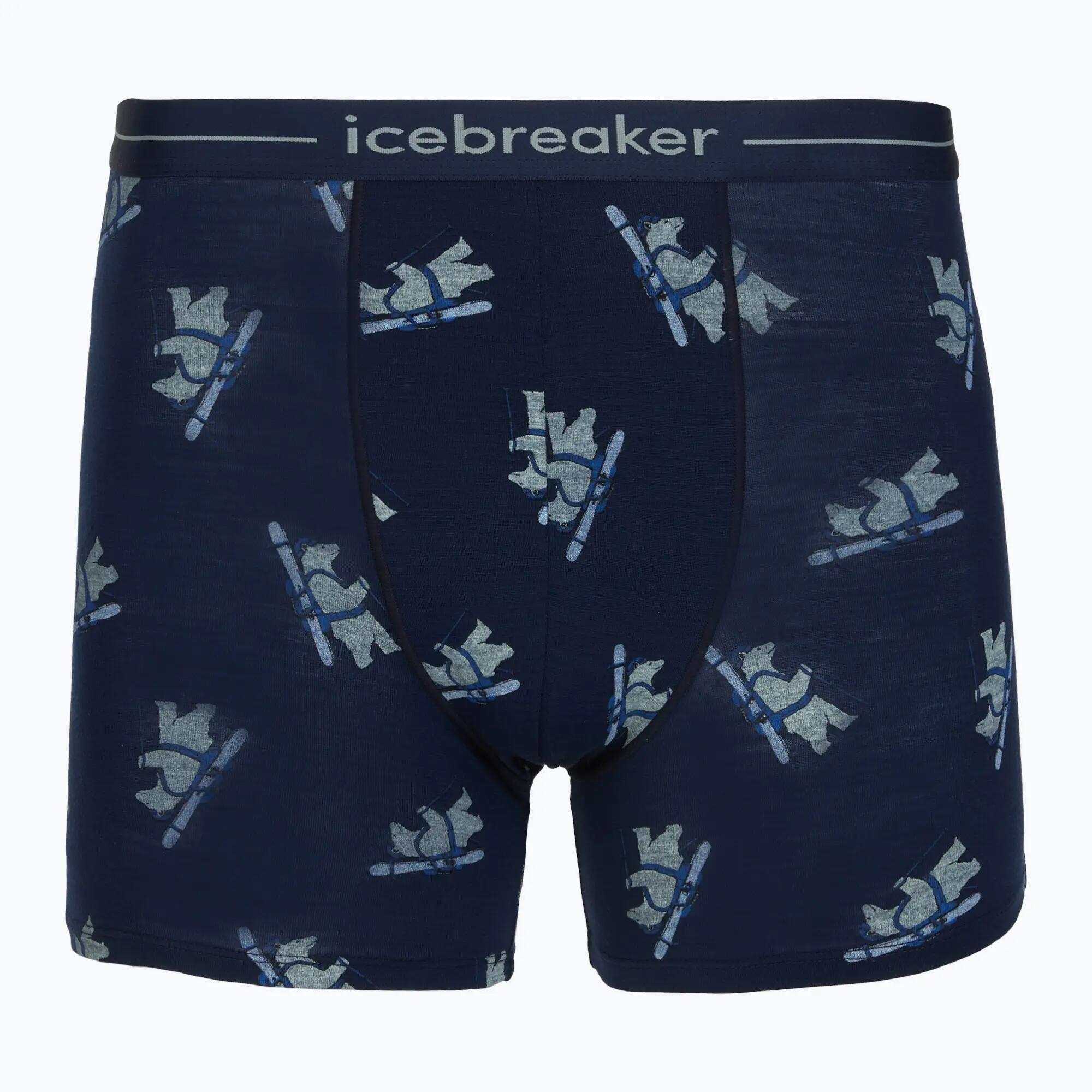 ICEBREAKER picture